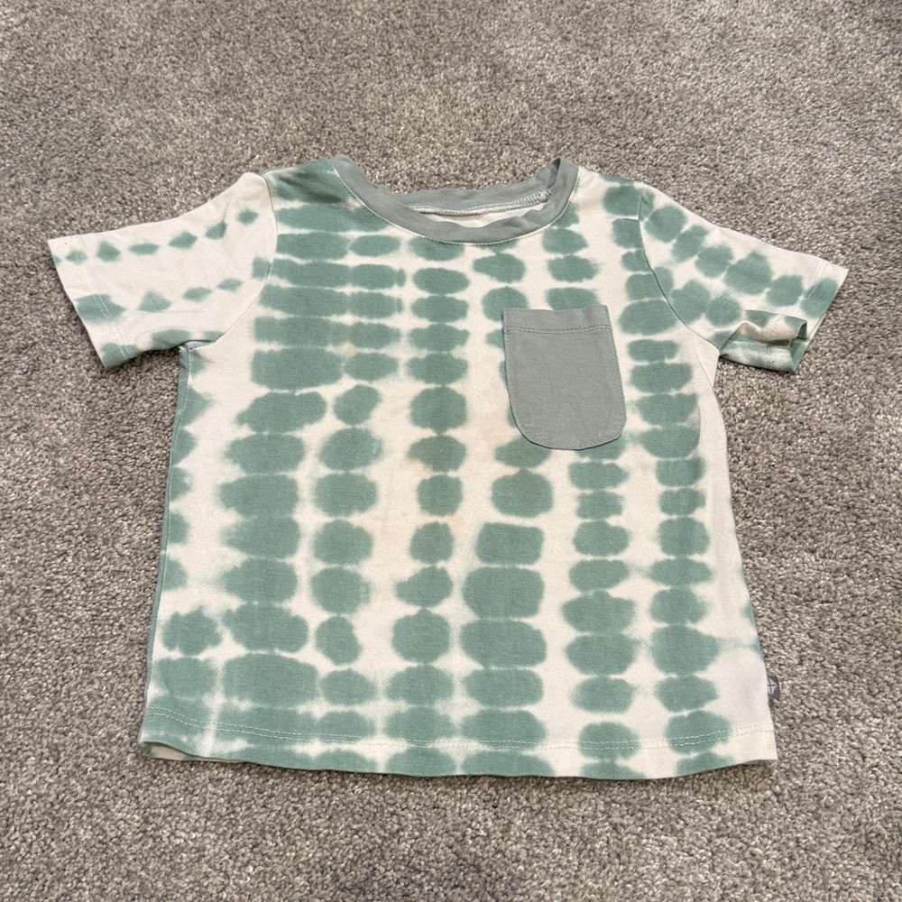 Kyte Baby- Toddler Unisex Tee in Sage Rip Tide, 2T